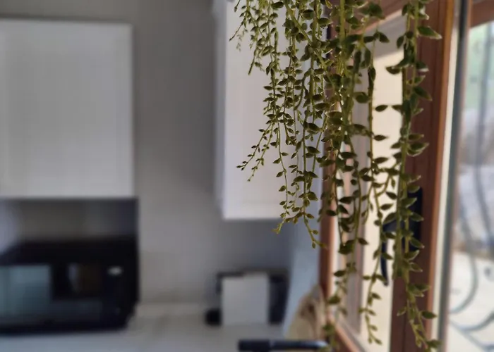 Villa Casa Luna Blanc